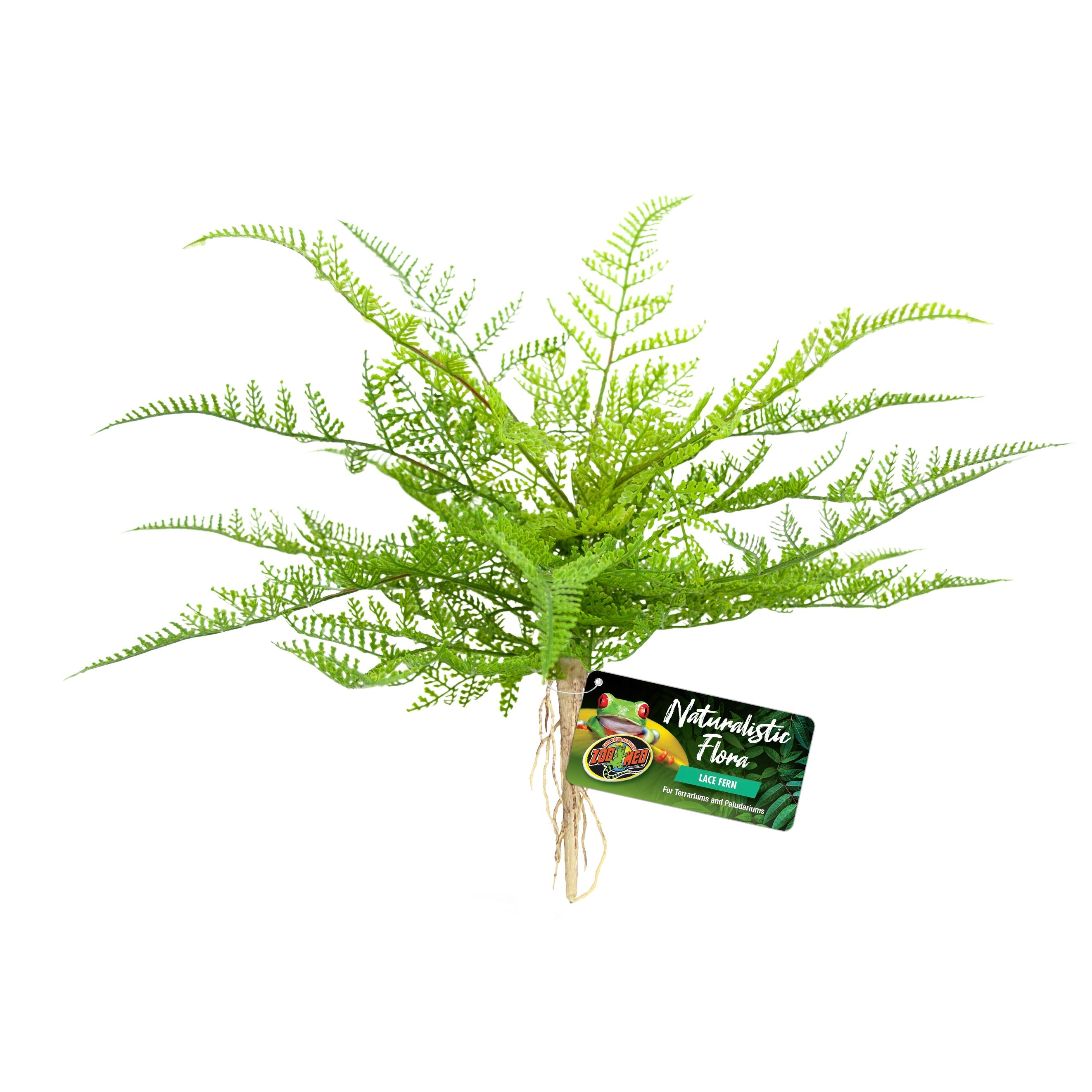 Zoo Med Naturalistic Flora – Lace Fern