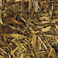 Zoo Med Forest Floor (Cypress Mulch) Bedding