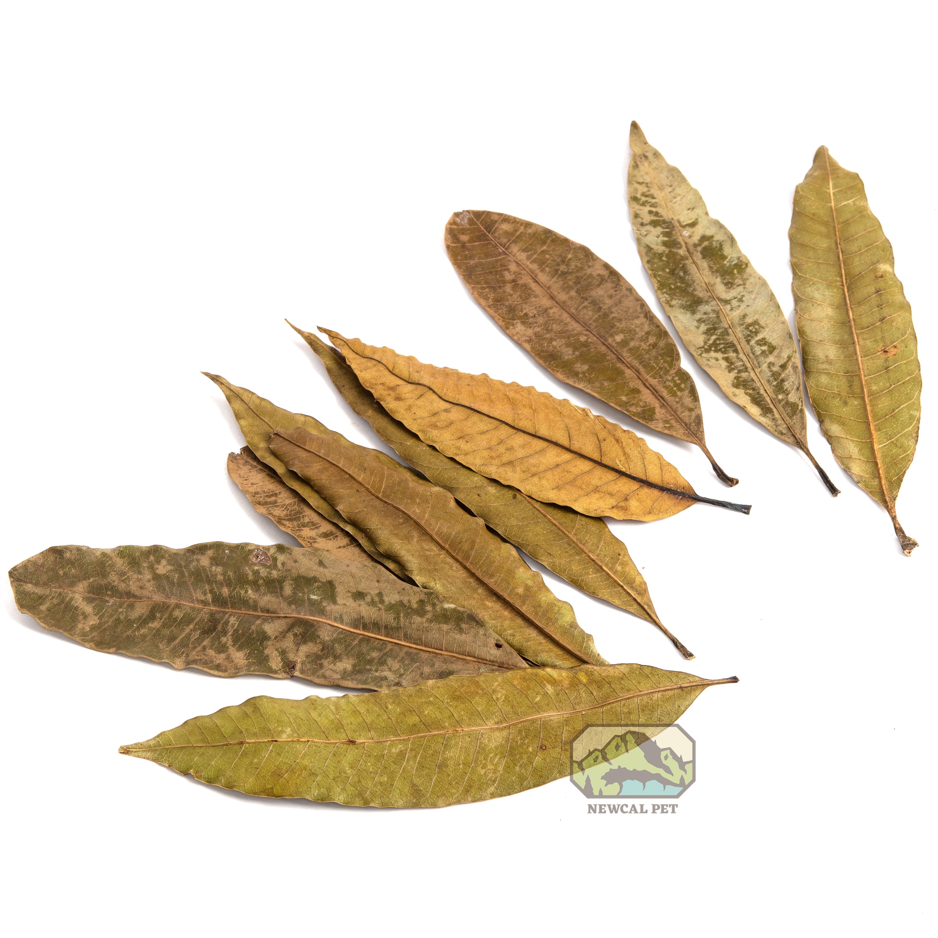 NewCal Mango Leaves
