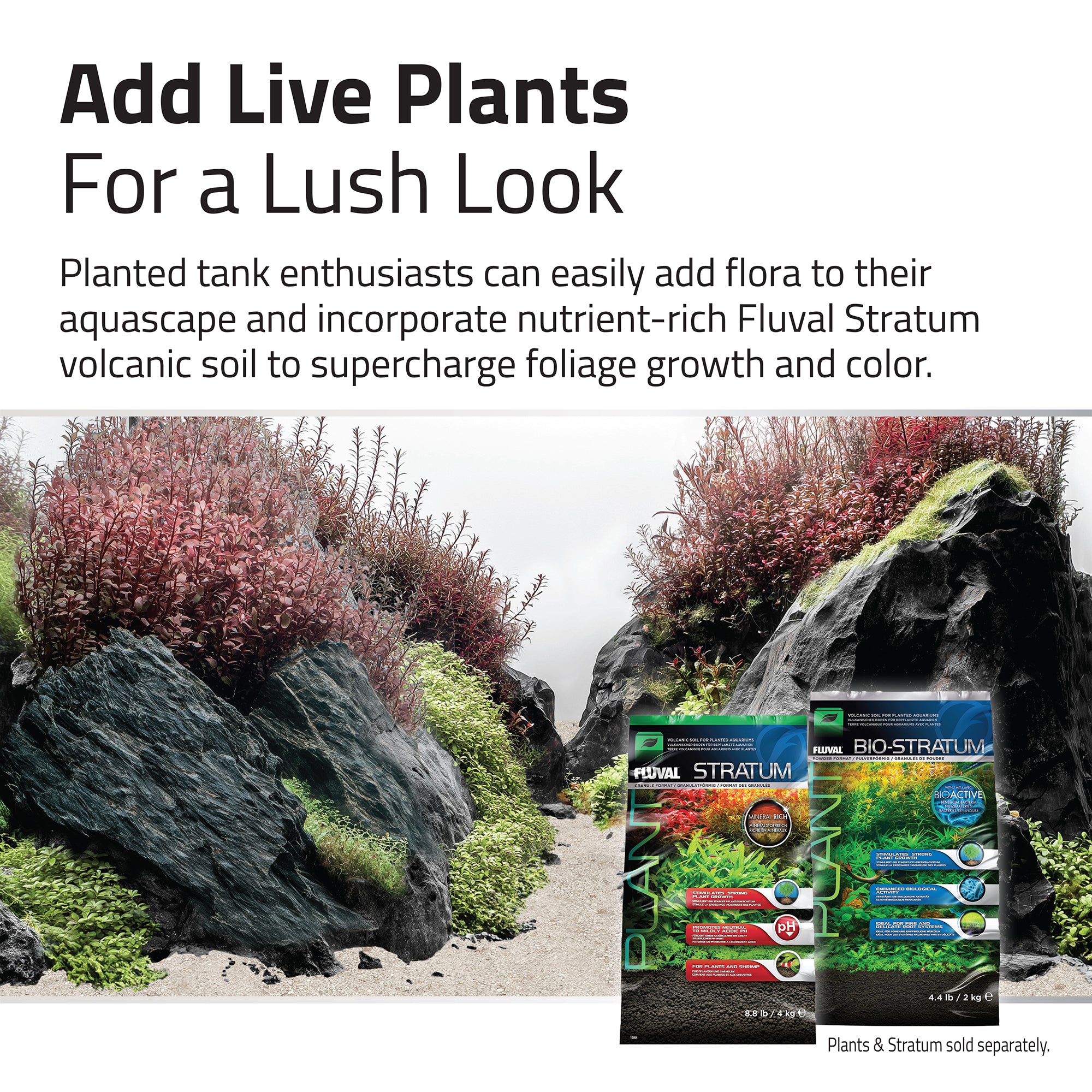 Fluval Black Basalt Aquascaper Natural Rock & Sand Décor (Special Order)