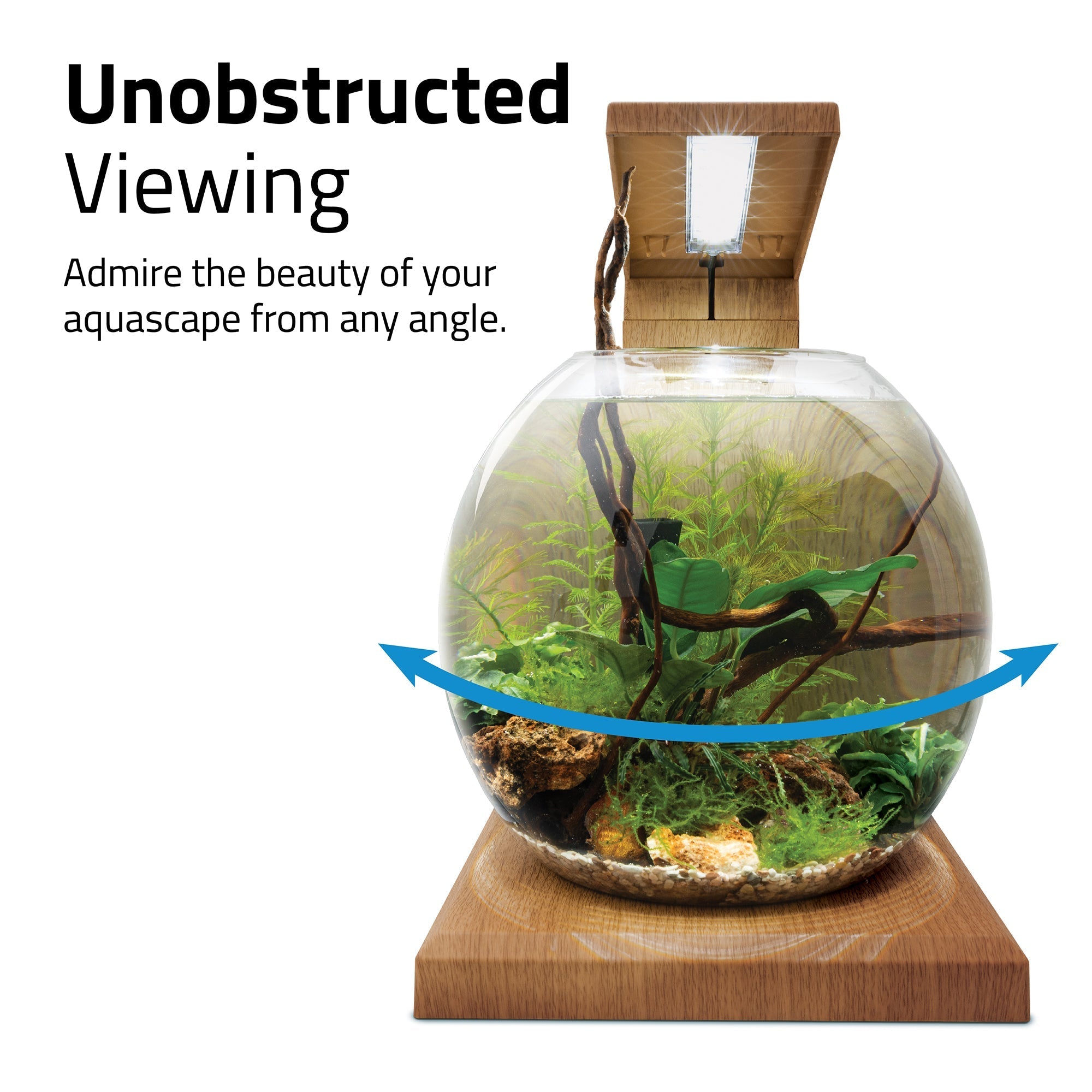 Fluval LIV Microscaping Aquarium Kit - 1.6 Gallon (Special Order)