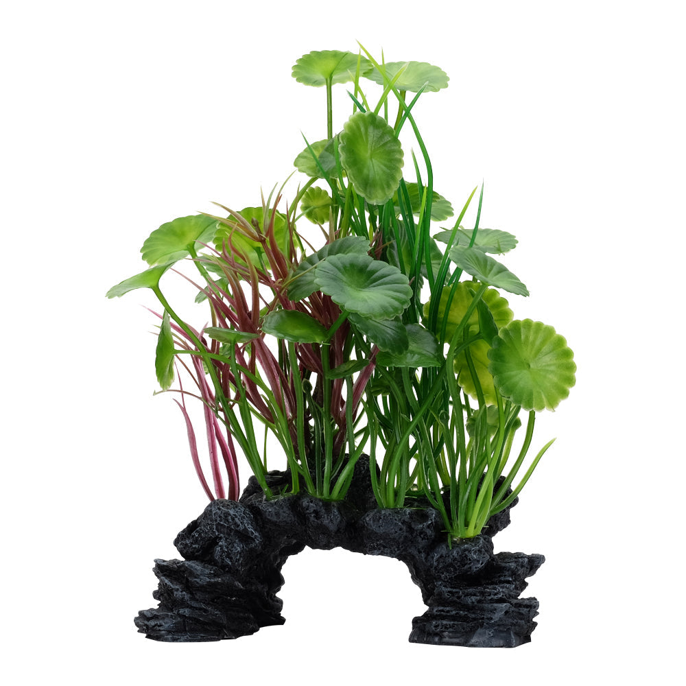 Fluval Aqualife Decoscapes Green Lysimachia (Special Order)
