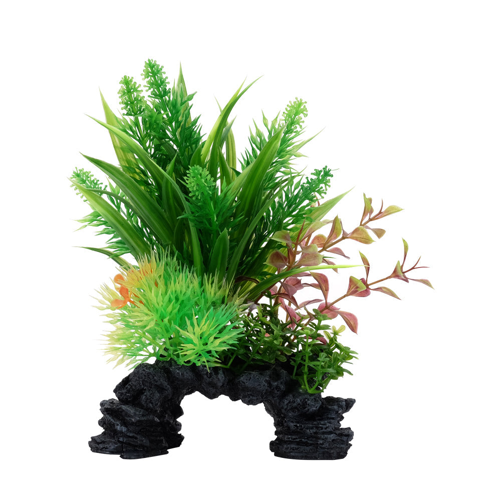 Fluval Aqualife Decoscapes Ludwigia/Sagittaria Mix (Special Order)