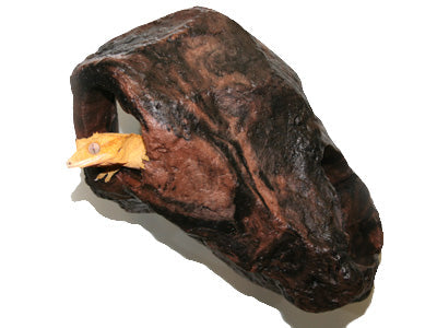 Magnaturals Hideaway