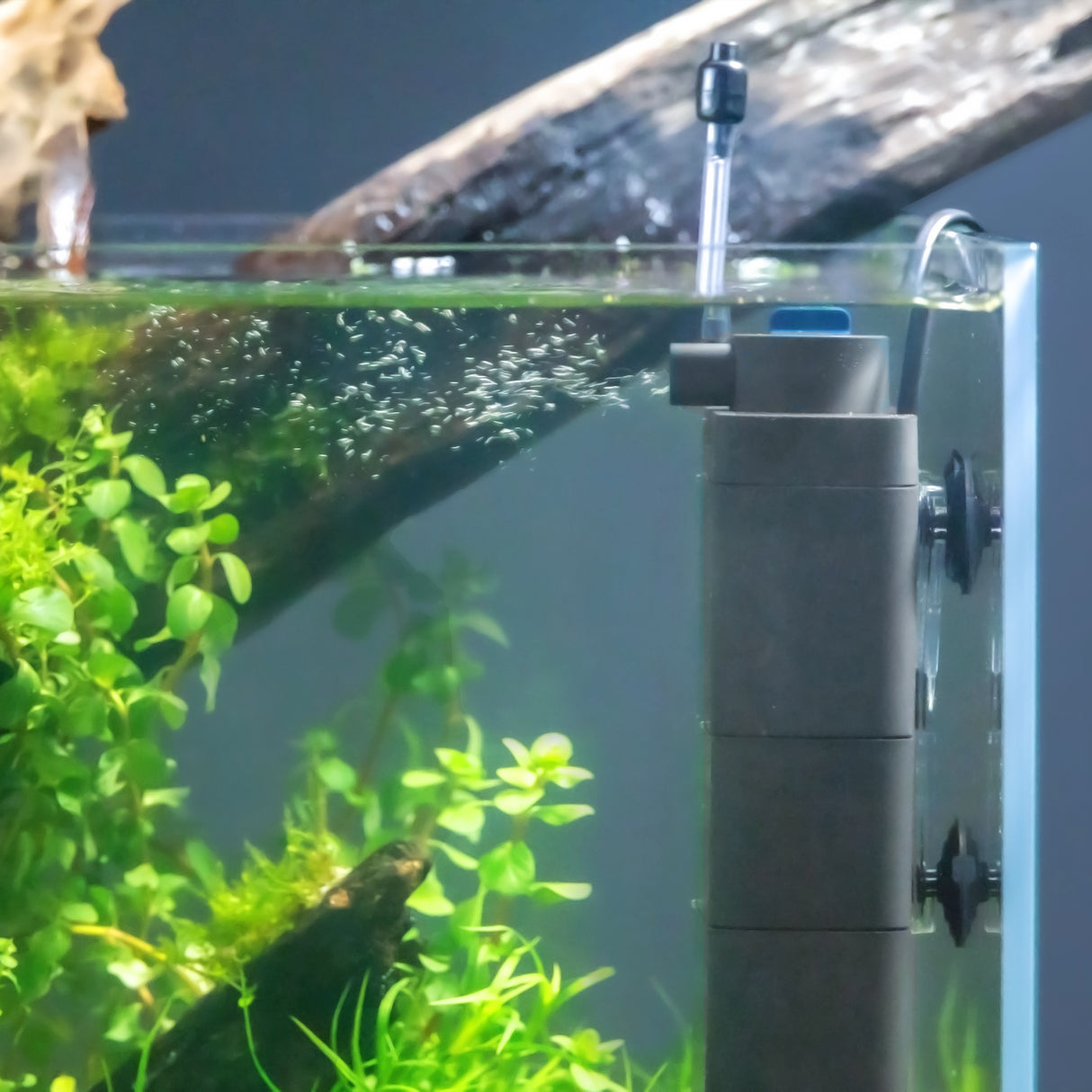 Oase EcoFlow Filter (Special Order)