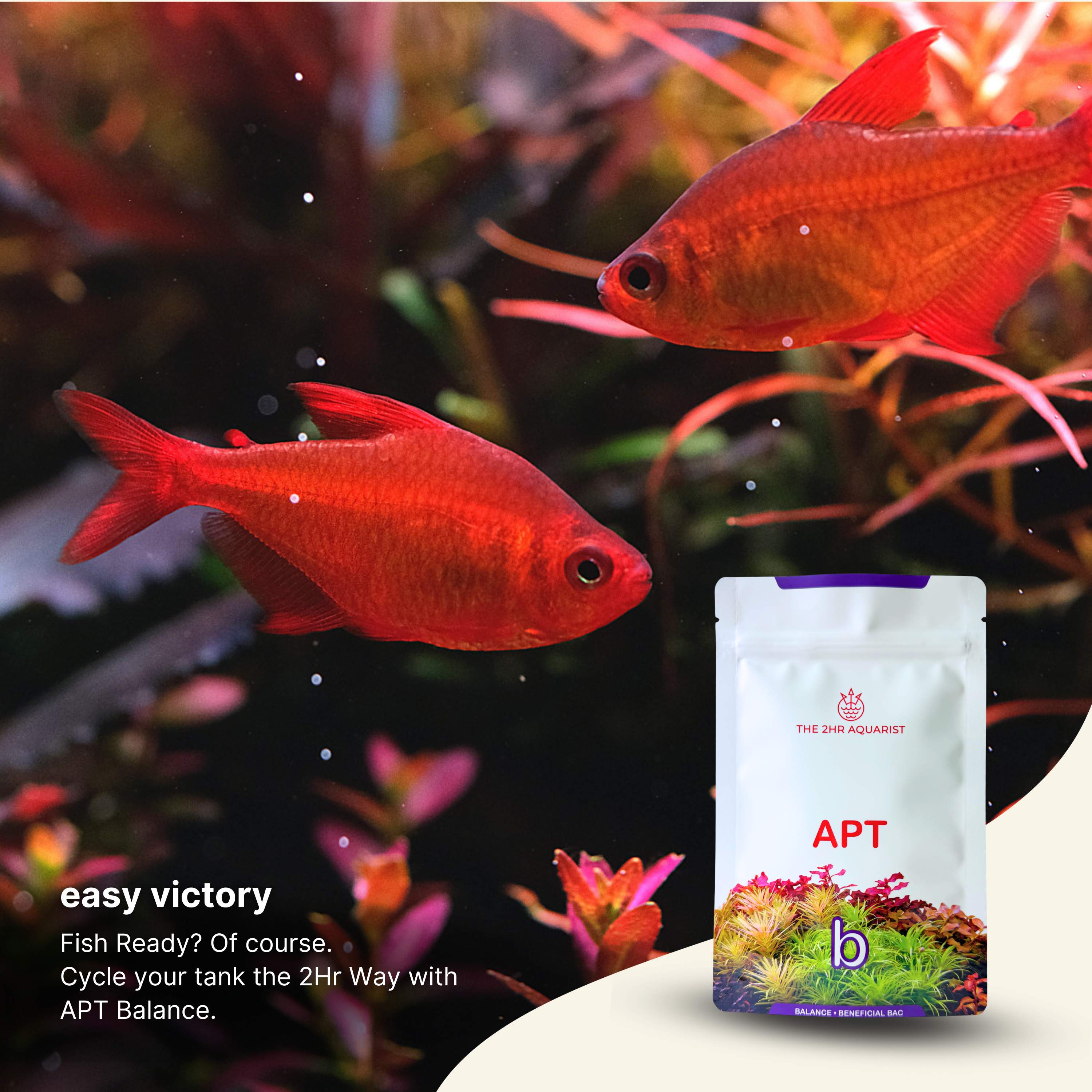 2Hr Aquarist APT b Balance