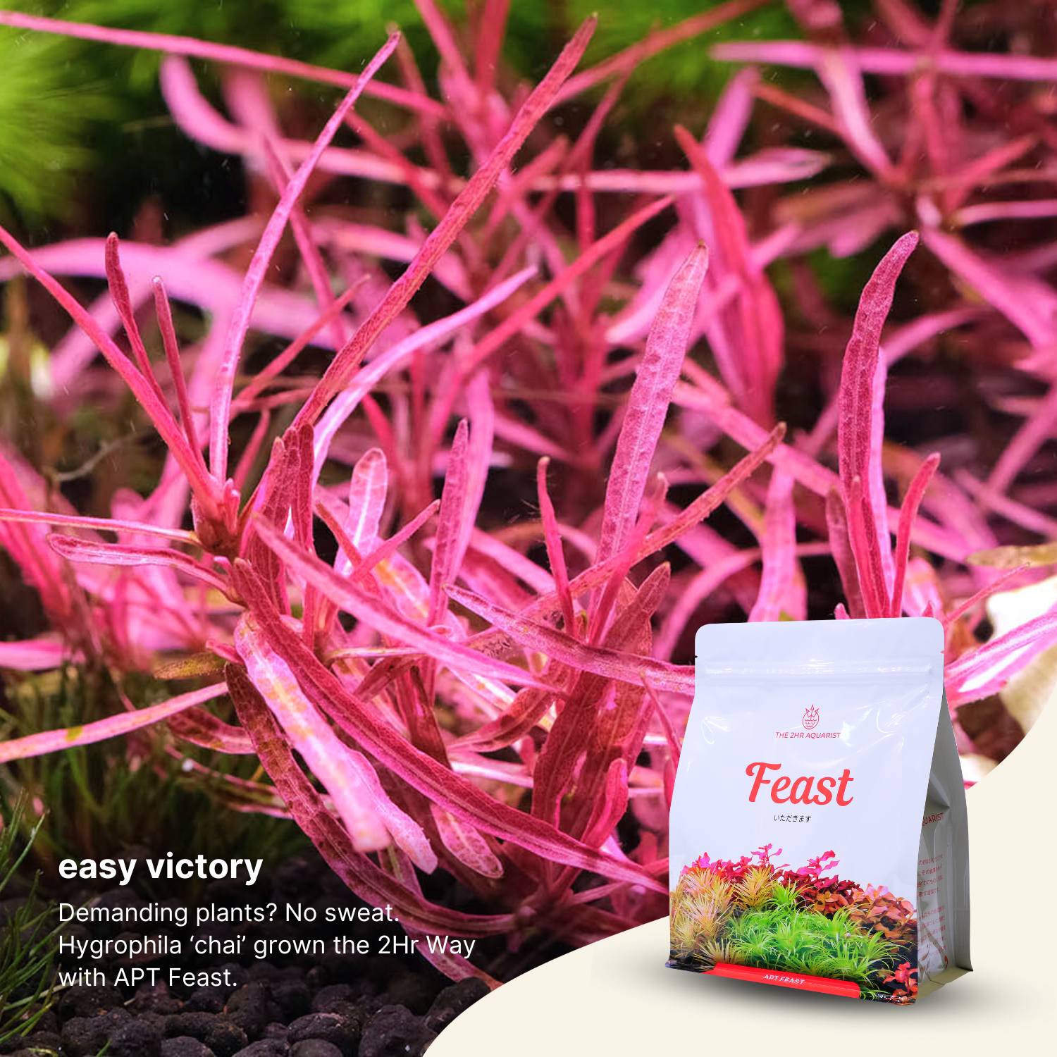 2HR Aquarist APT Feast Aquasoil
