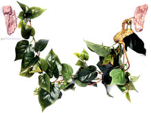 Magnaturals Jungle Vine Bridge