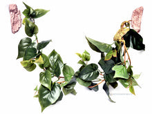 Magnaturals Jungle Vine Bridge