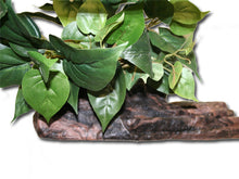 Magnaturals Planter Ledge