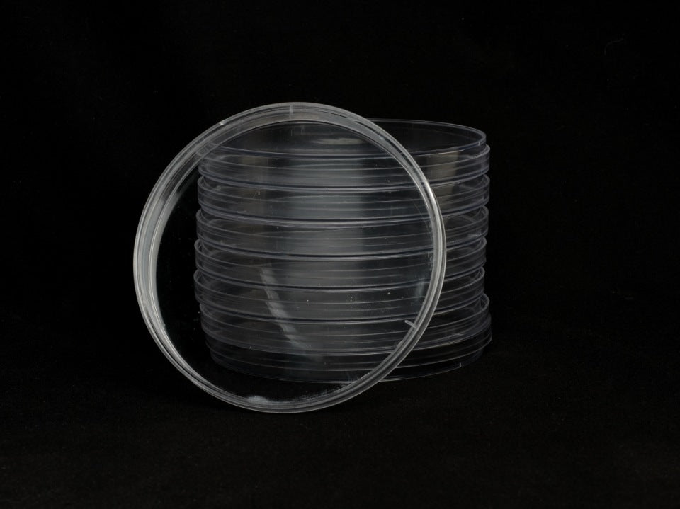 NewCal Sexing Large Perti Dish (Diameter 6.25 inches)