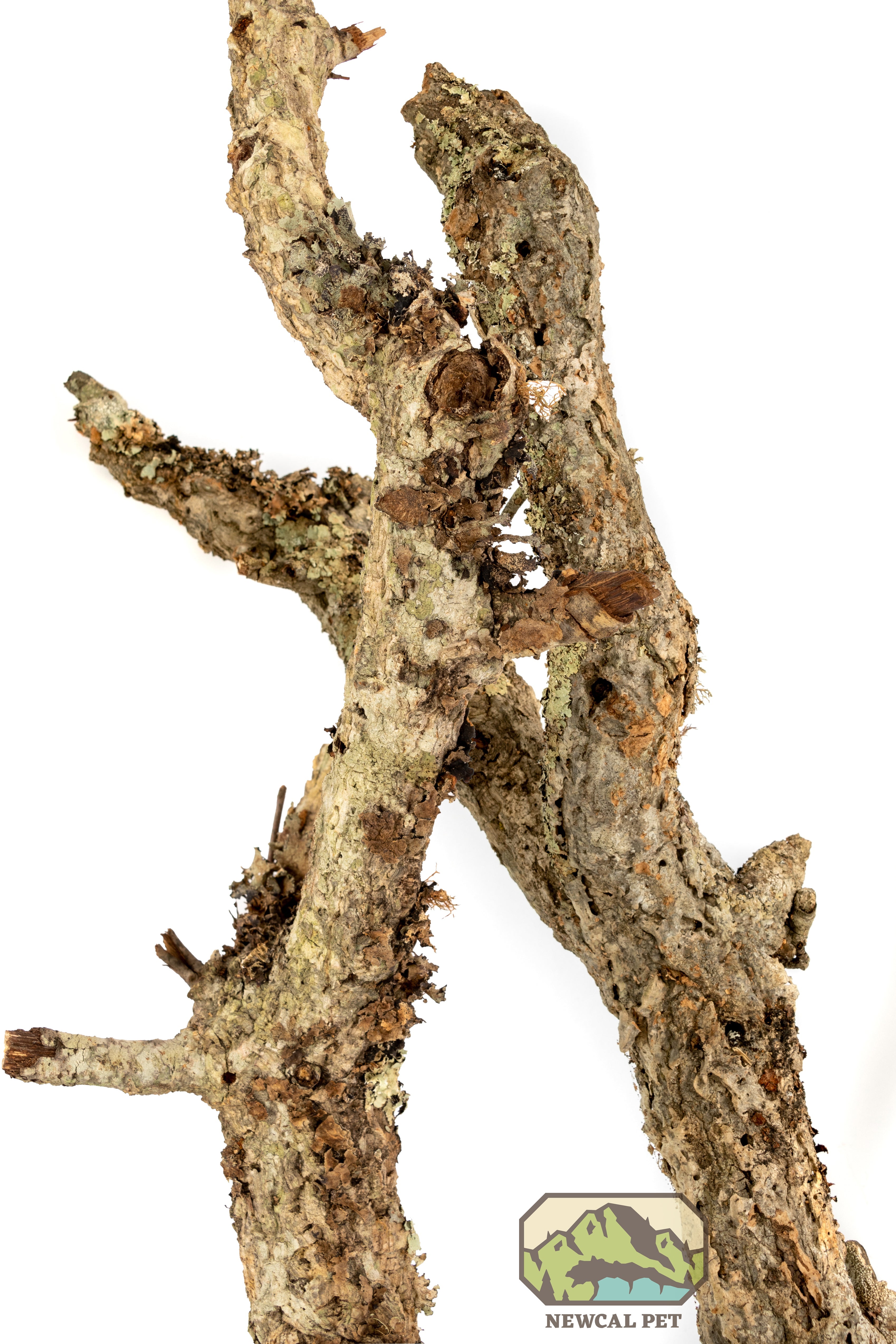 NewCal Assorted Bulk Cork Branches - All Diametres - 15lbs Box