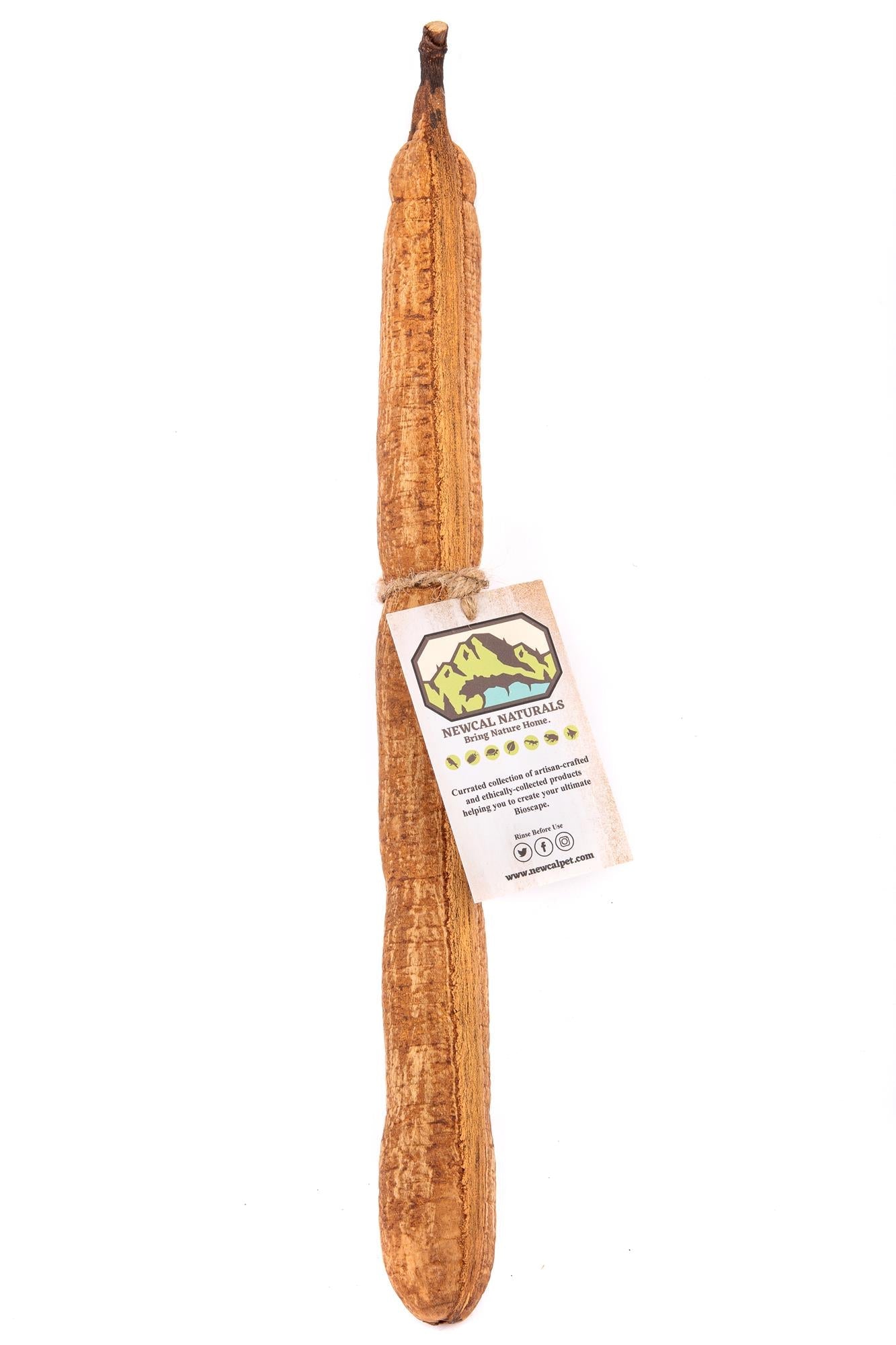 NewCal Stick Fruit 12"+