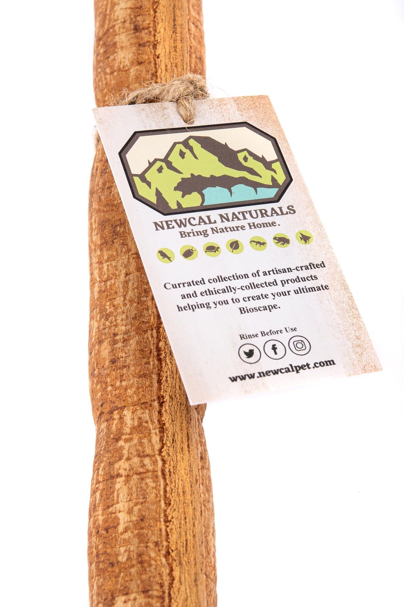 NewCal Stick Fruit 12"+