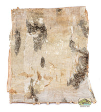 NewCal Birch Bark Sheet