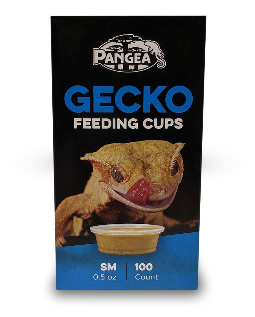 Pangea Feeding Cups 0.5 oz (100-Pack)