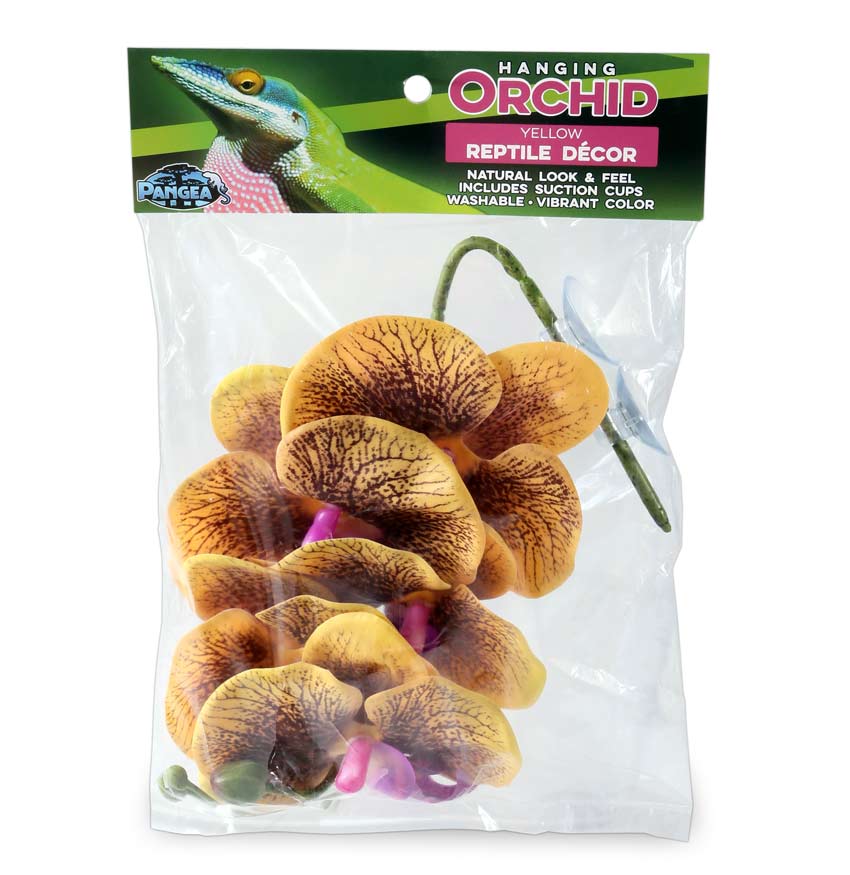 Pangea Hanging Orchids 13"