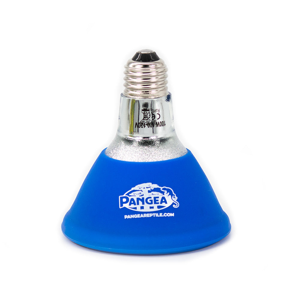 Pangea Deep Heat Projector