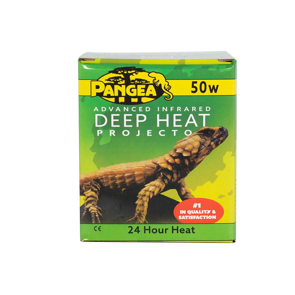 Pangea Deep Heat Projector