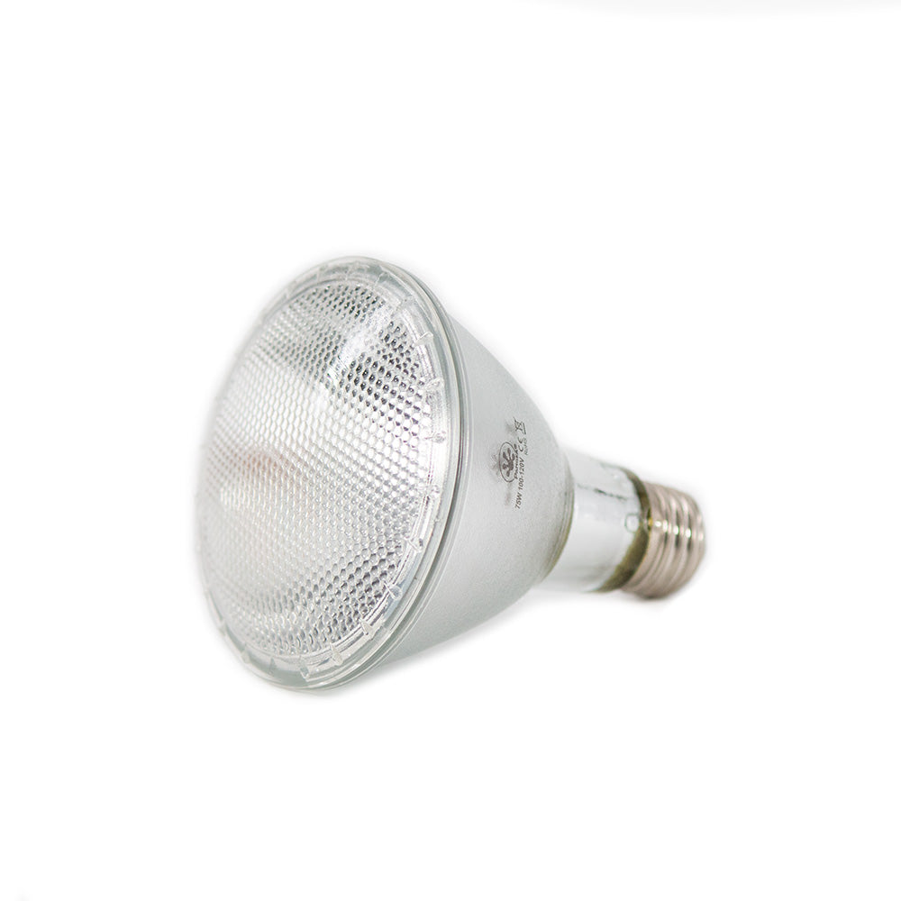 Pangea Halogen Heat Lamp