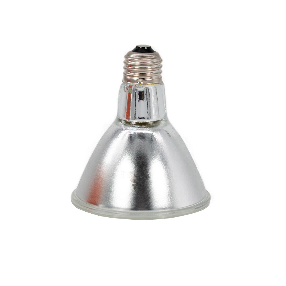 Pangea Halogen Heat Lamp