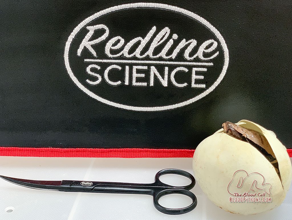 Redline Science Scissor Curved Fine Point 5.5"