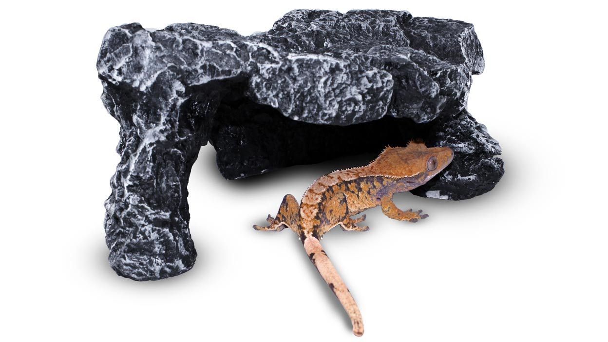 Pangea Rock Cave