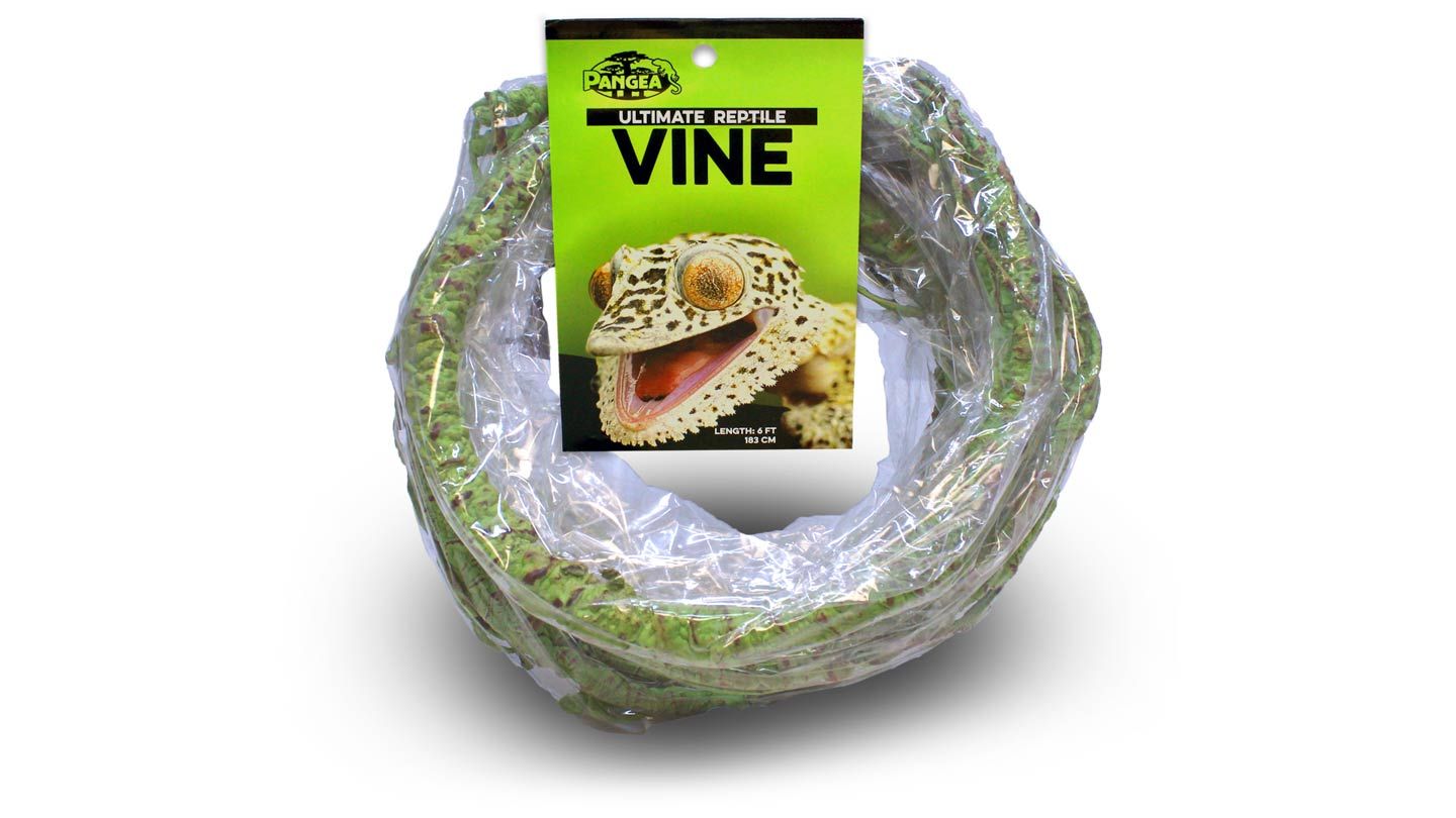 Pangea Ultimate Reptile Vine 6' Long