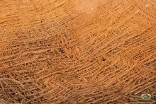 NewCal Palm Bark