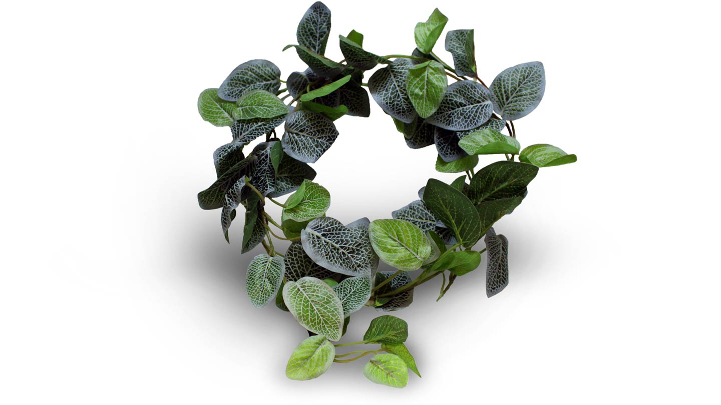 Pangea Leaf Vine - Fittonia 6' Long