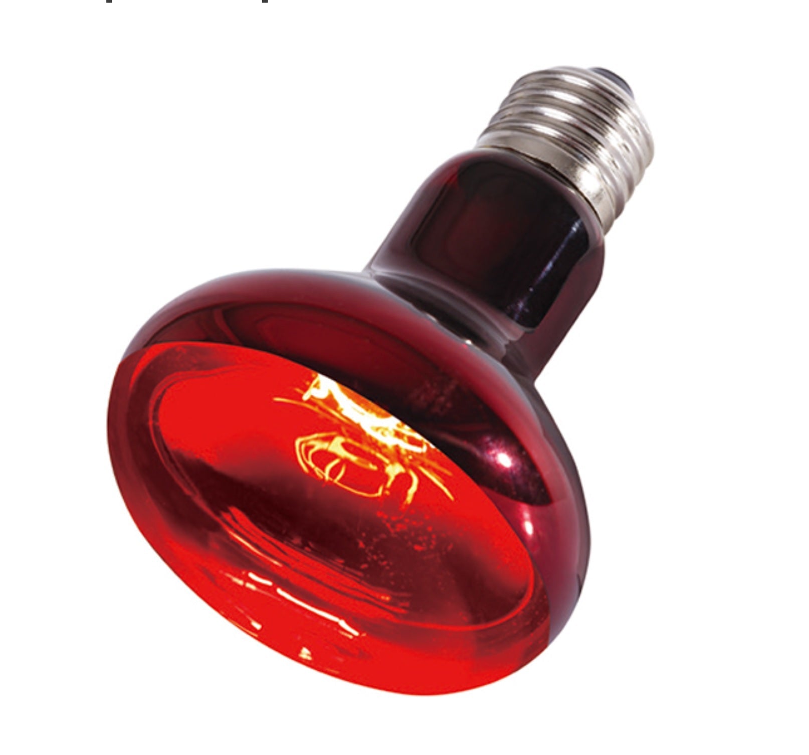 ReptiZoo Infrared Basking Spot Bulb