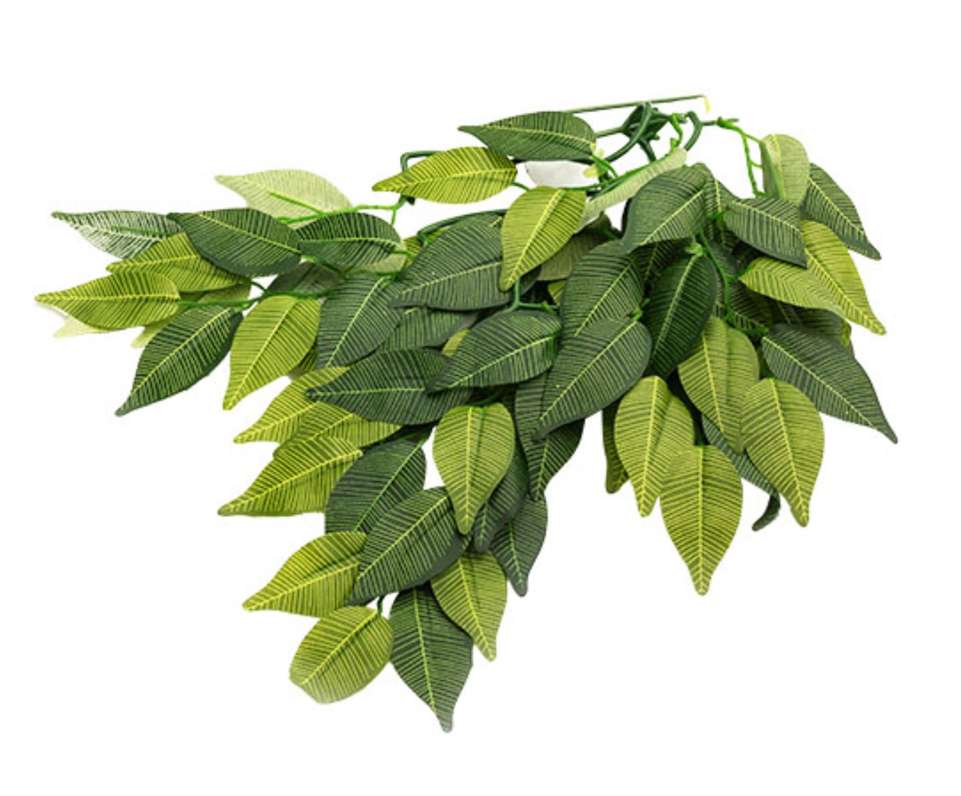 ReptiZoo Hanging Plant - Banyan Leaves
