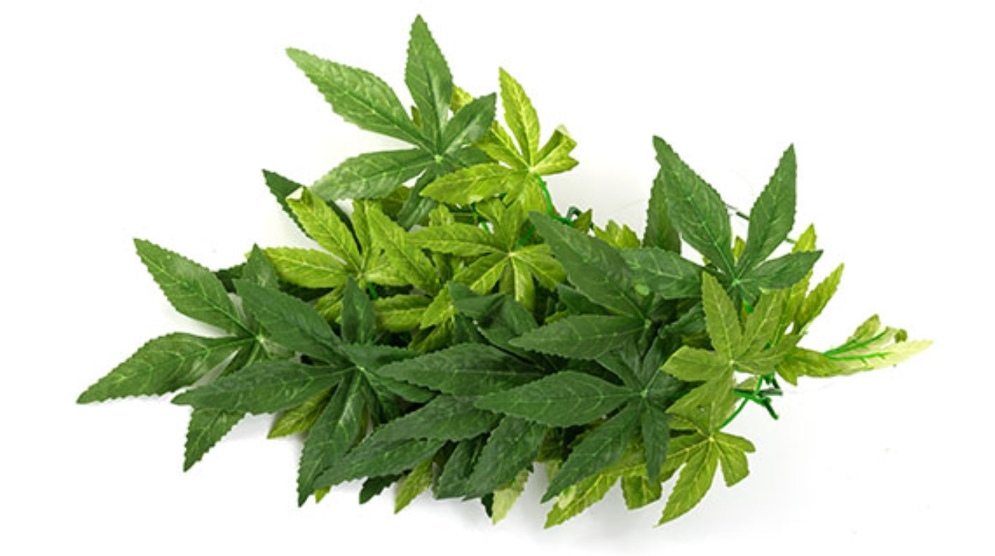 ReptiZoo Hanging Plant - Iha Leaves