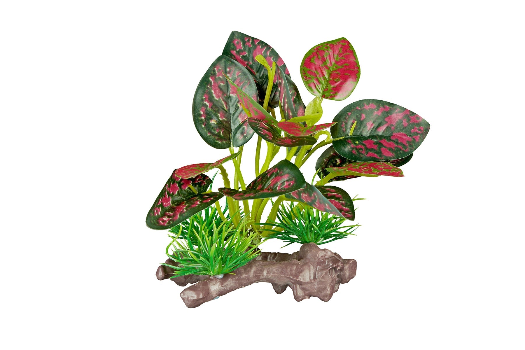 ReptiZoo Plant - scindapsus aureus 4.8"