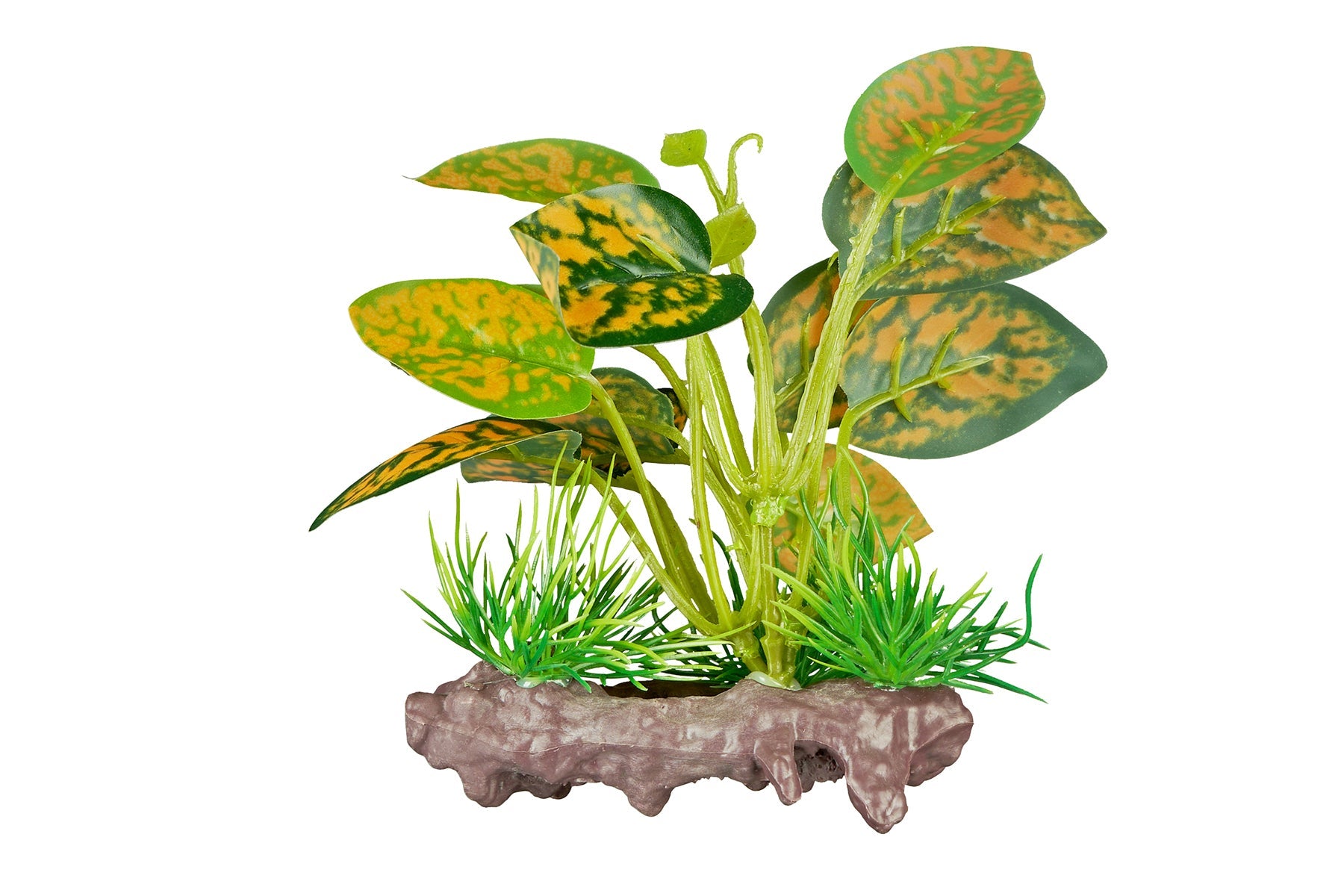 ReptiZoo Plant - scindapsus aureus 4.8"