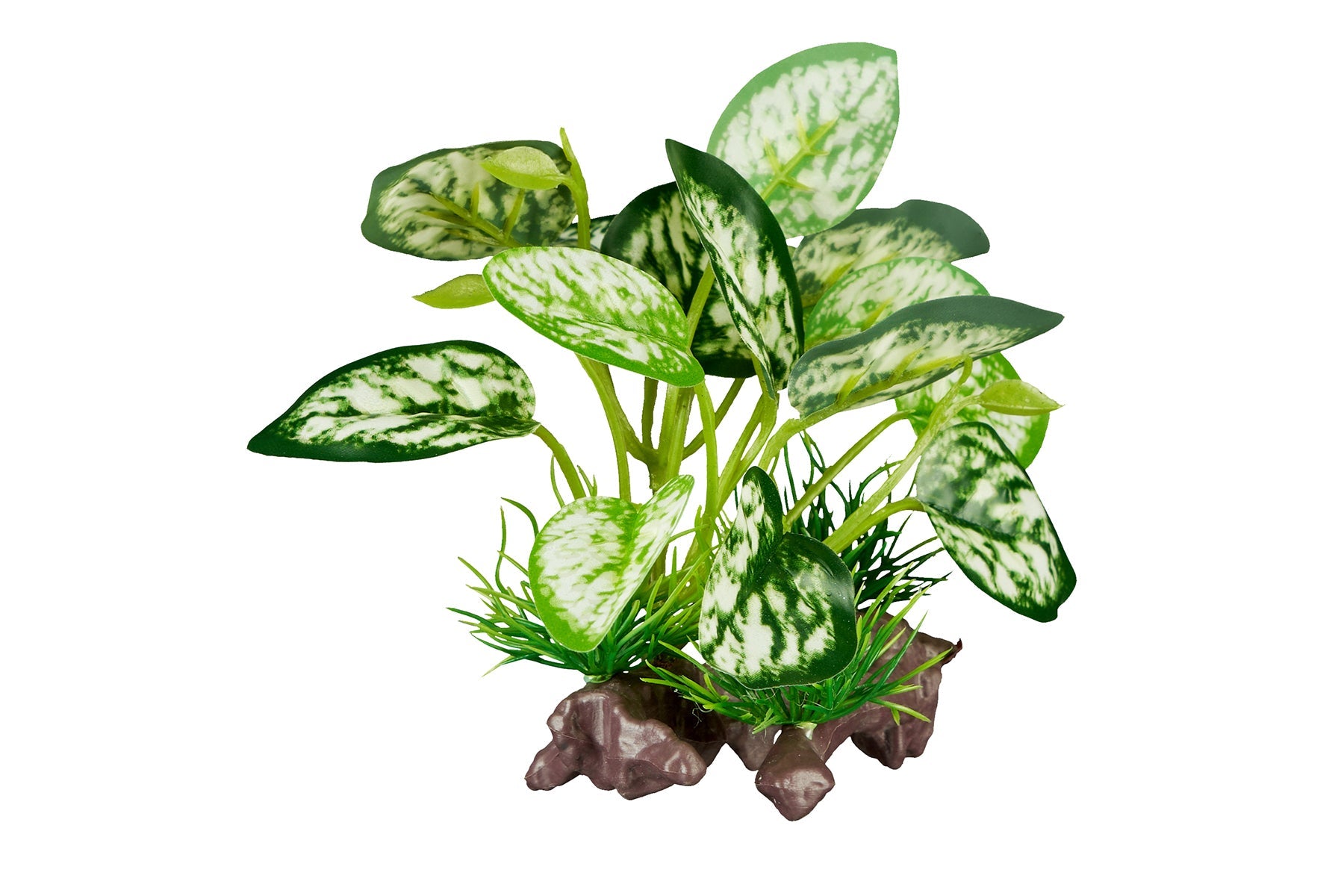 ReptiZoo Plant - scindapsus aureus 4.8"