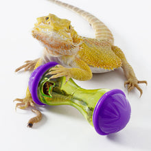 ReptiZoo Reptile Enrichment Treat Ball