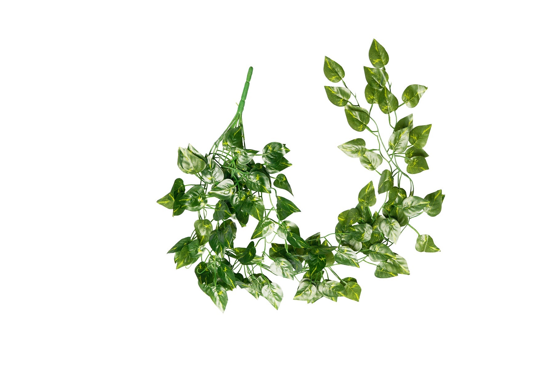 ReptiZoo Vine - Scindapsus aureus Leaves 36"