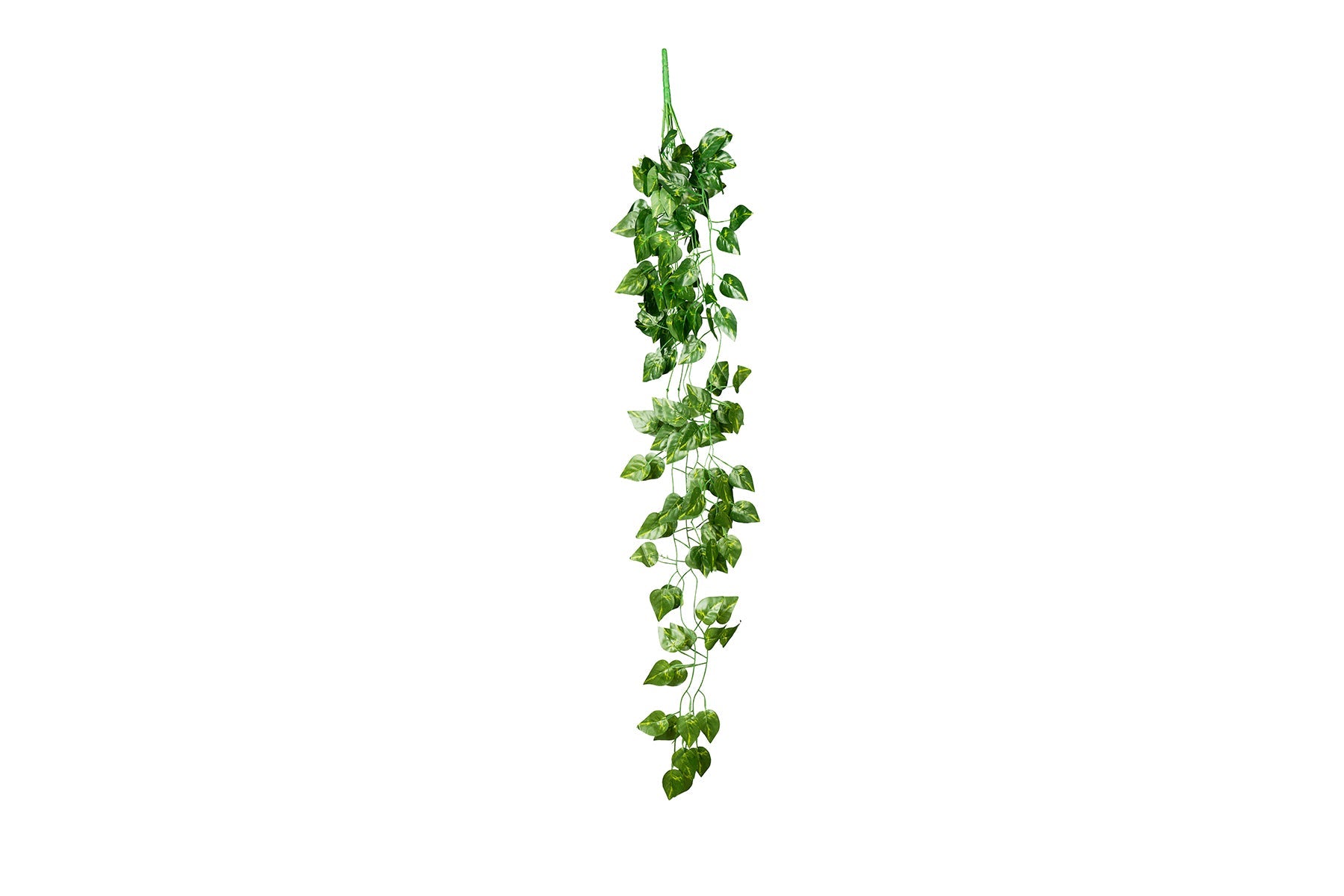ReptiZoo Vine - Scindapsus aureus Leaves 36"