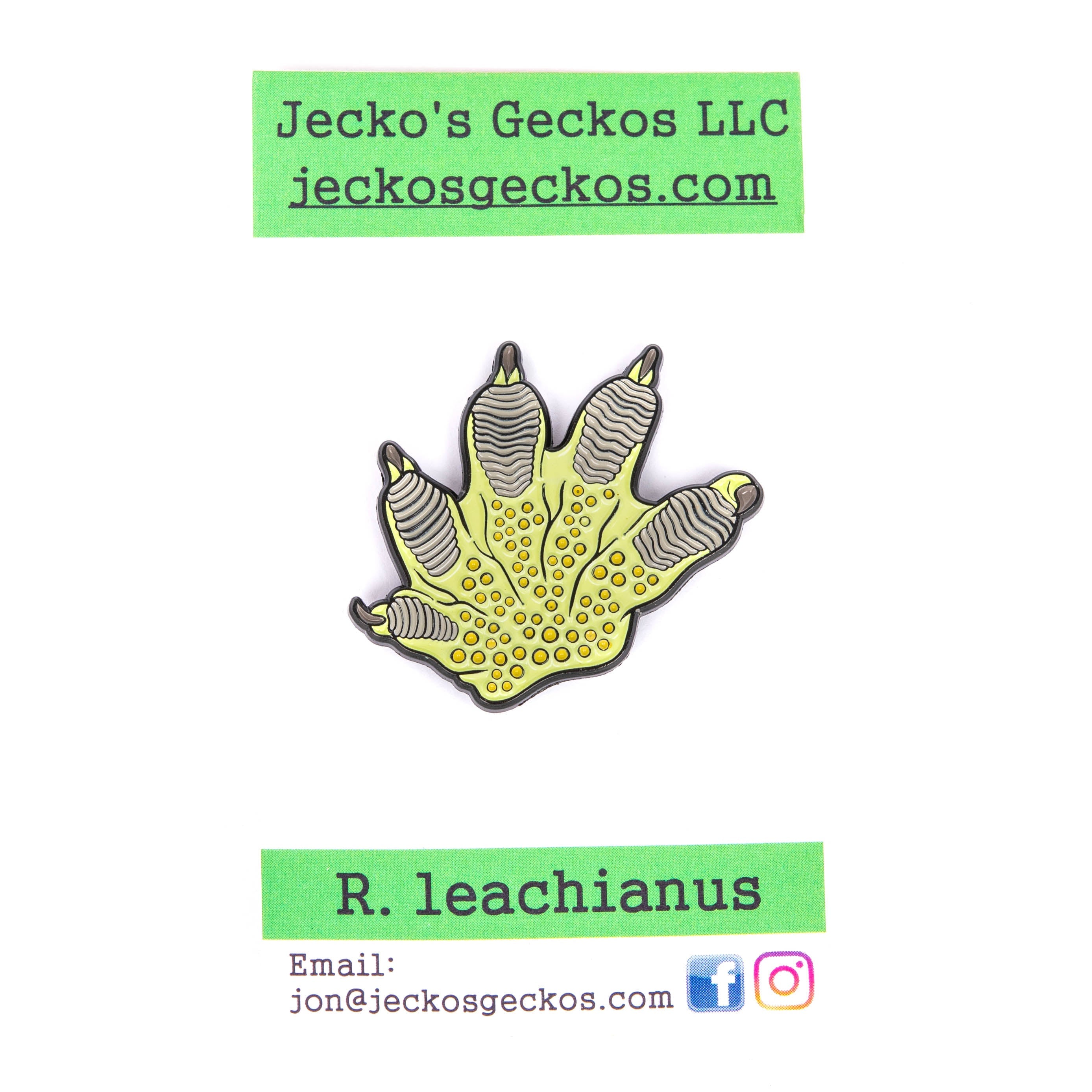 Pangea R. Leachianus Hand Pin