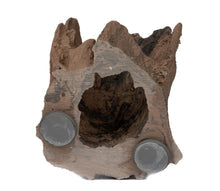 C3 Magnetic Adult Gecko Hide