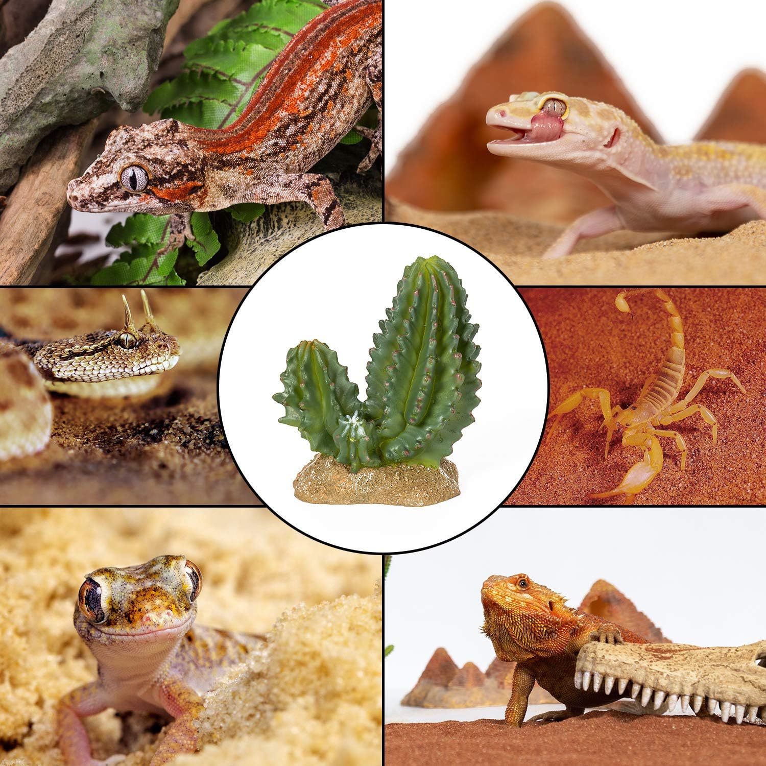 ReptiZoo Desert Decor - Cactus - 3.9"