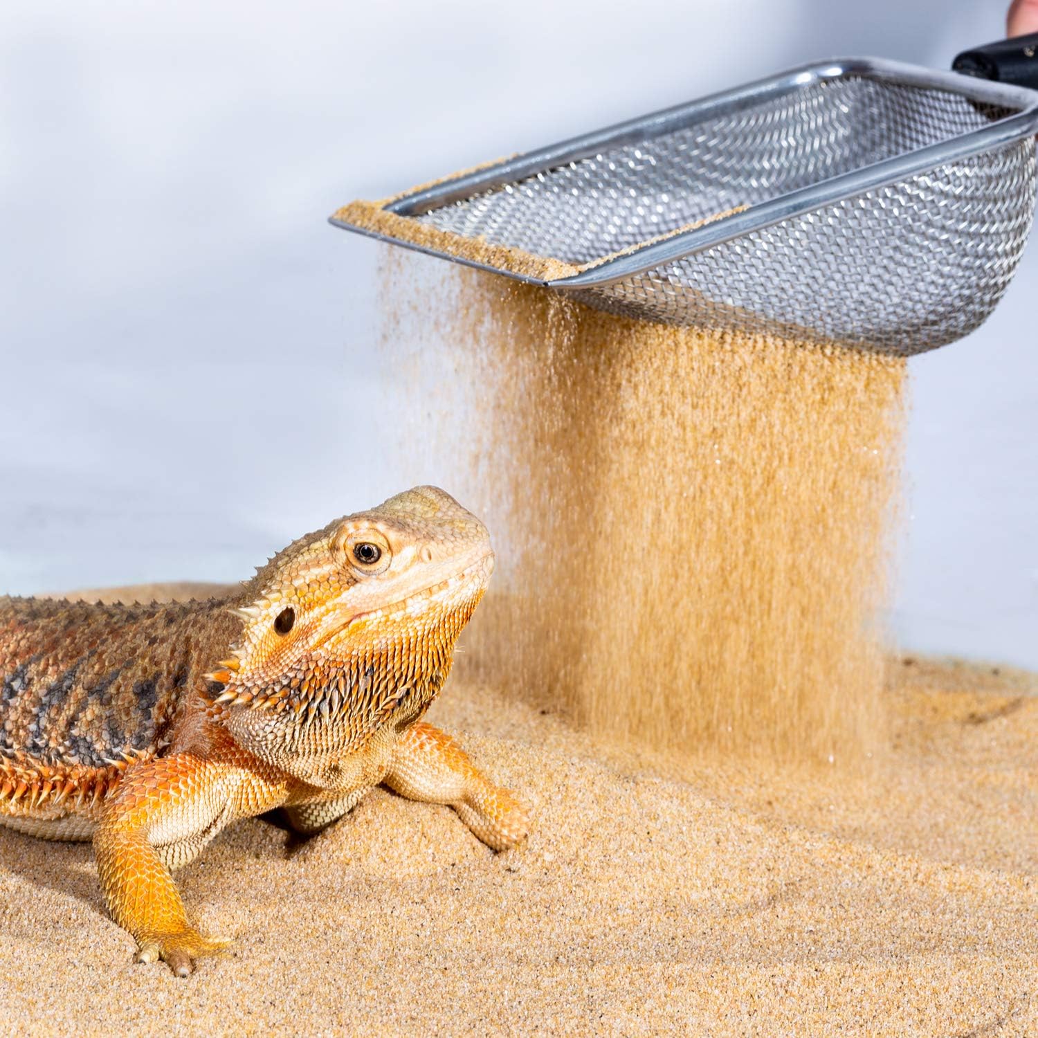 ReptiZoo Desert Sand Scooper