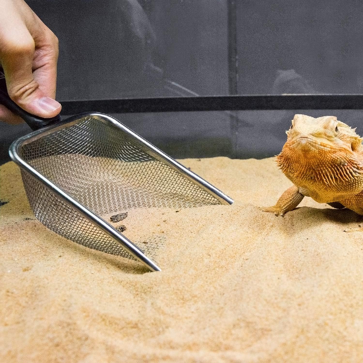 ReptiZoo Desert Sand Scooper