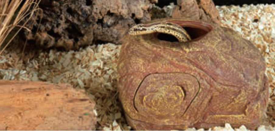 ReptiZoo 2-Hole Multi-Function Hiding Cave