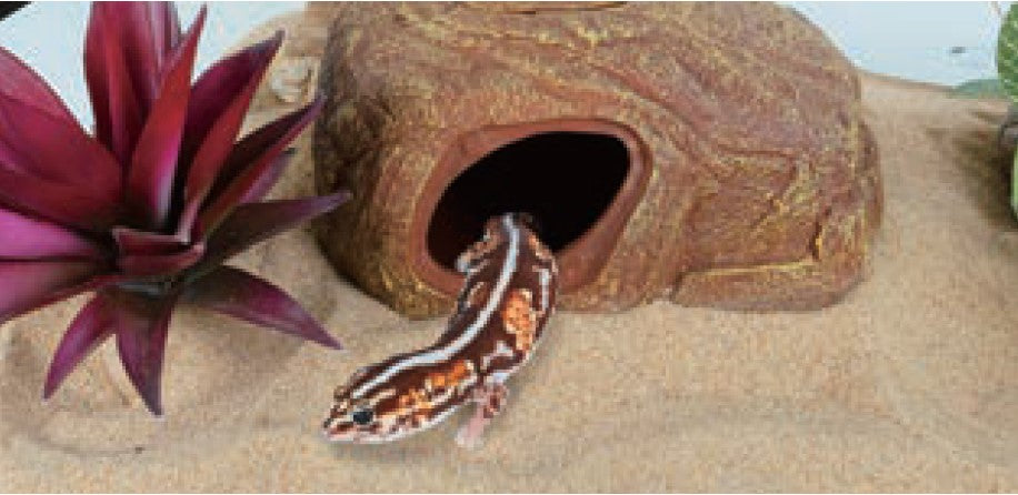 ReptiZoo 2-Hole Multi-Function Hiding Cave