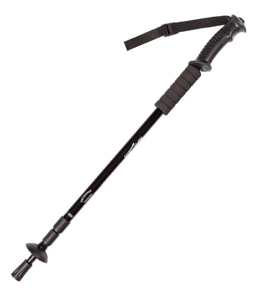 ReptiZoo 2-in-1 Snake Hook & Climbing Stick