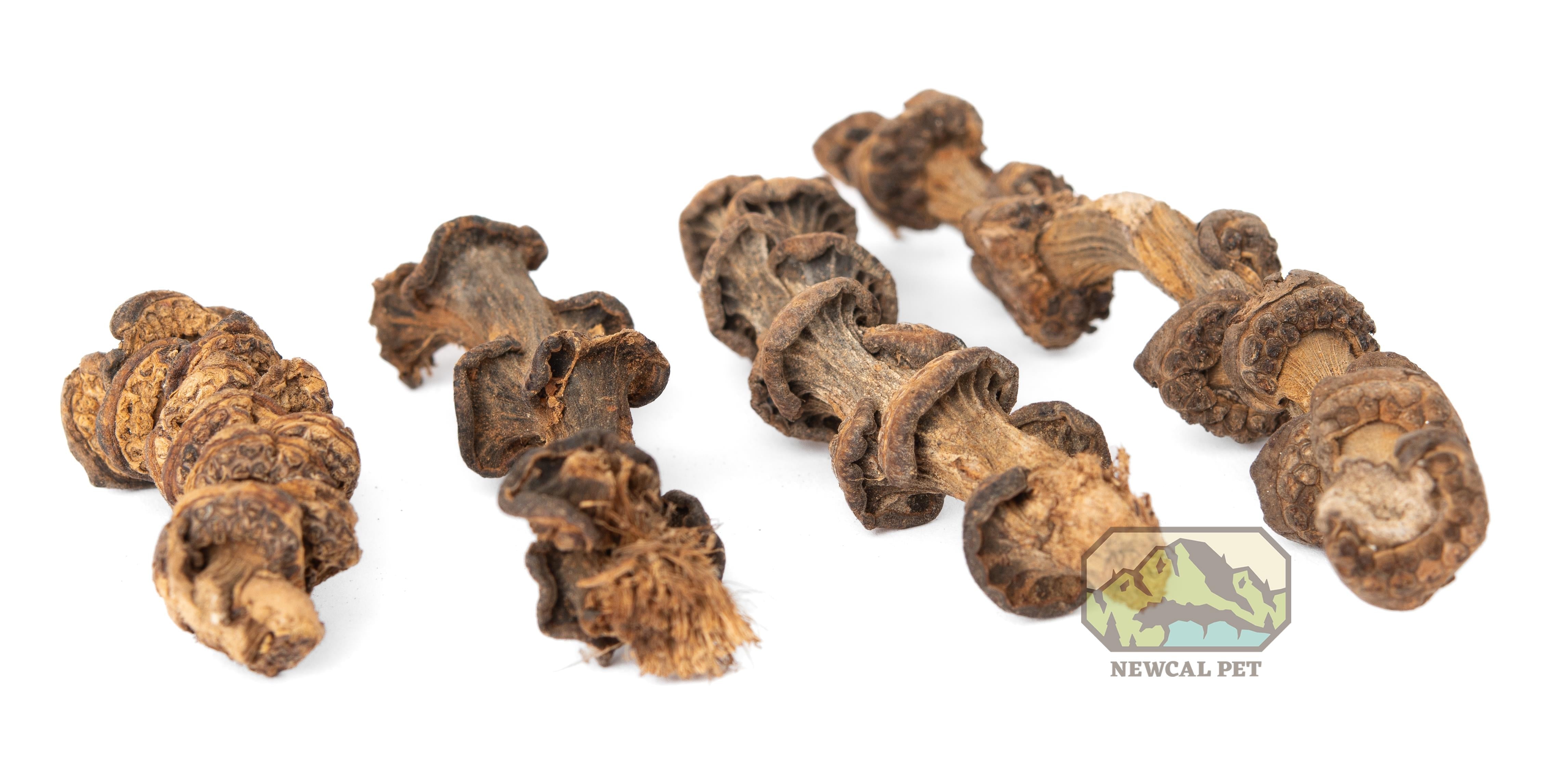 NewCal Musa Branch Stems