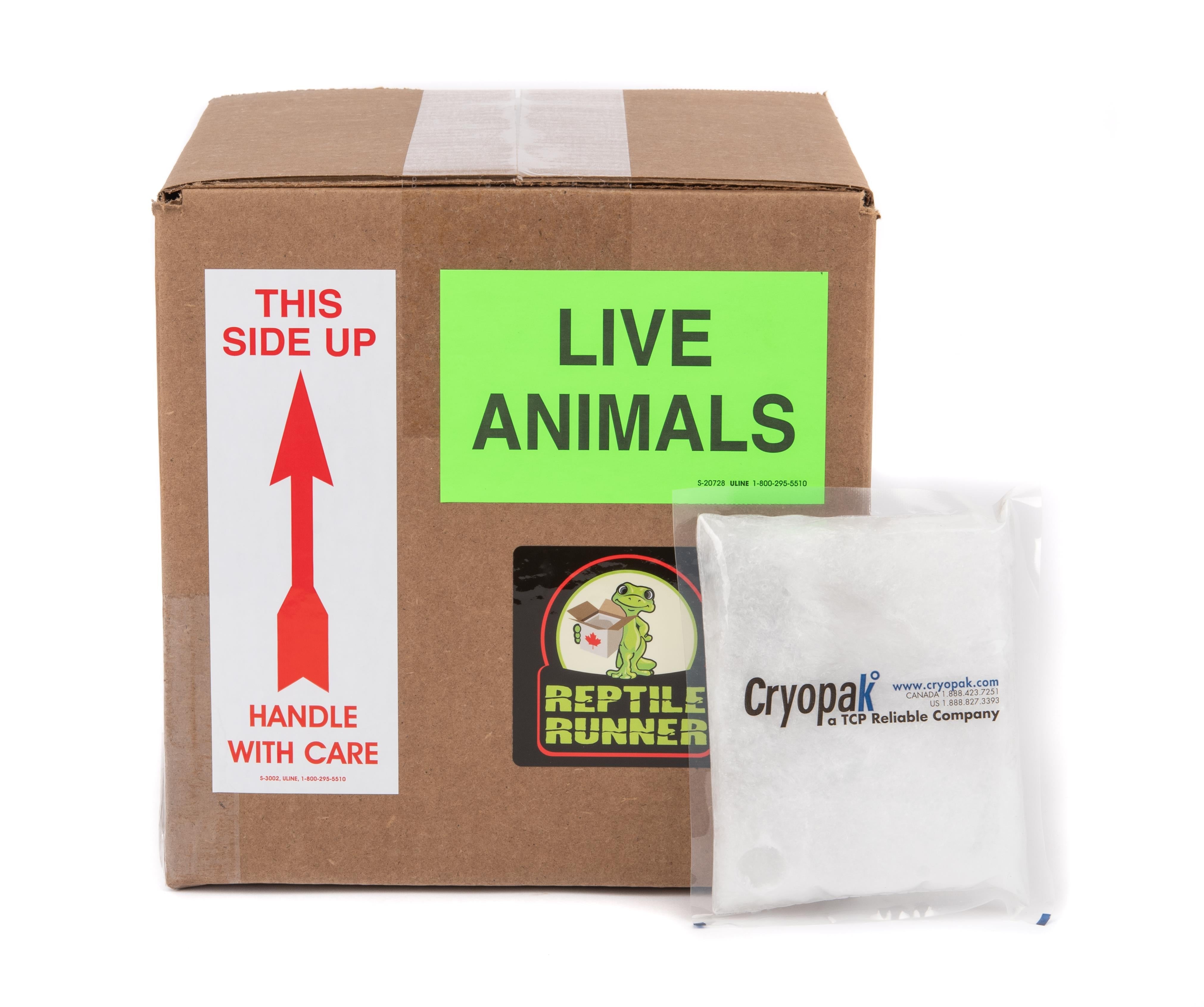 Shipping Box Kit - Summer