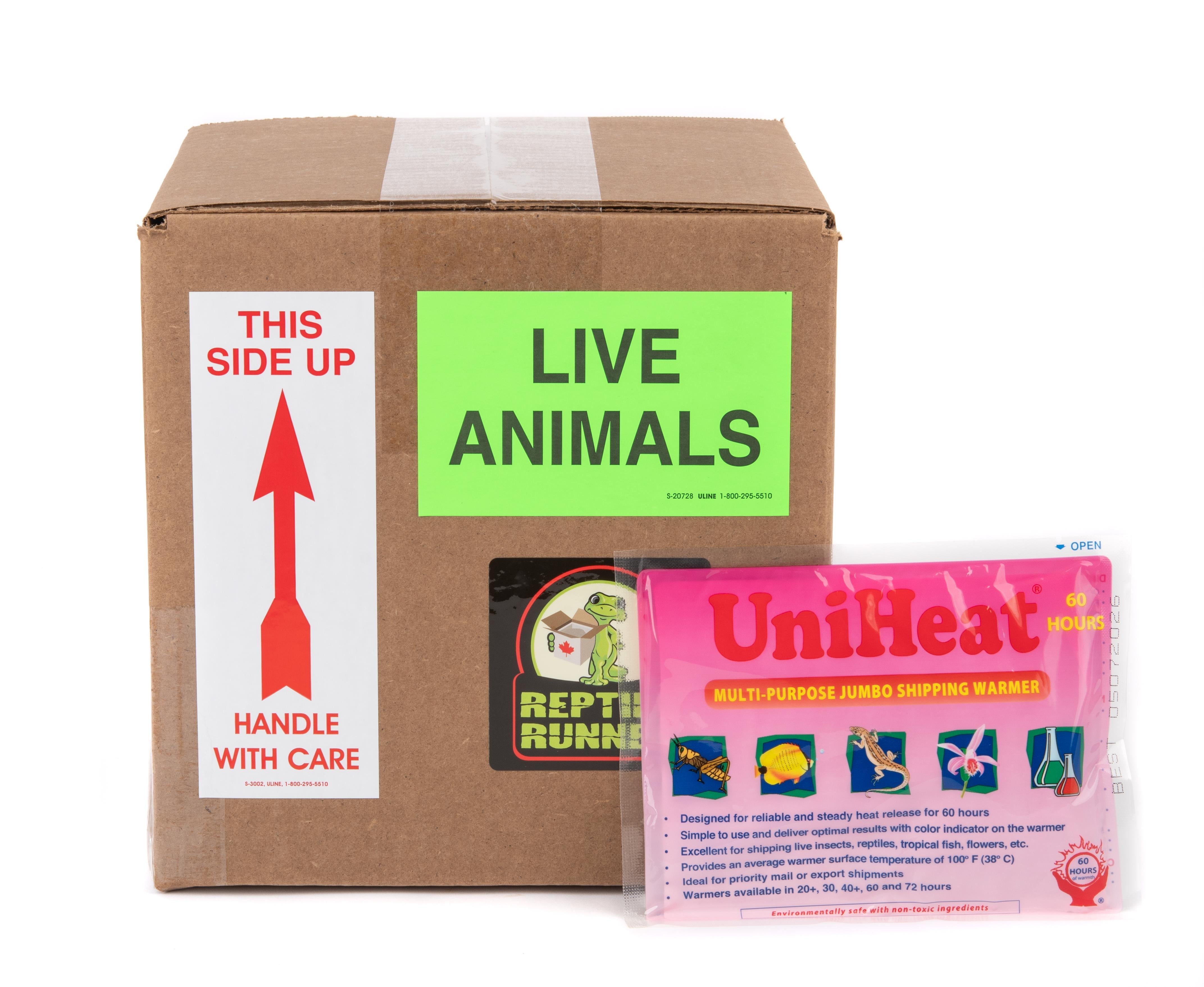 Shipping Box Kit - Winter